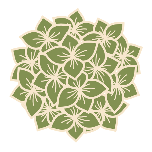 sz-sz-hortense_green_carre-540x544web